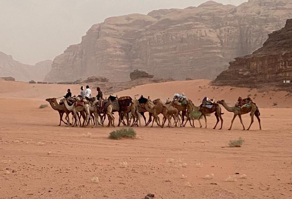 Orbit Camp 2 Hotel Wadi Rum Bagian luar foto